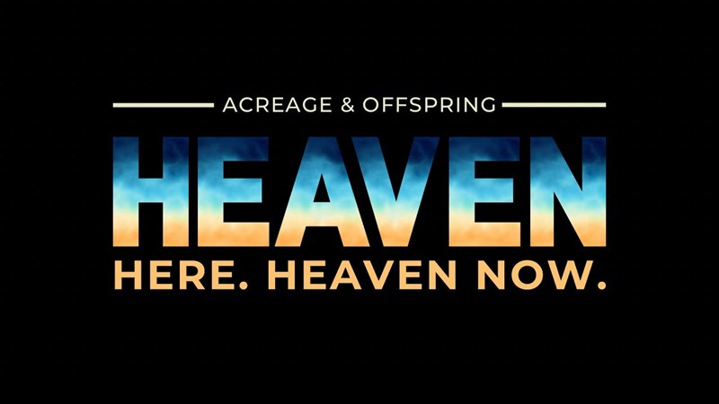 Heaven Here Heaven Now: Acreage & Offspring